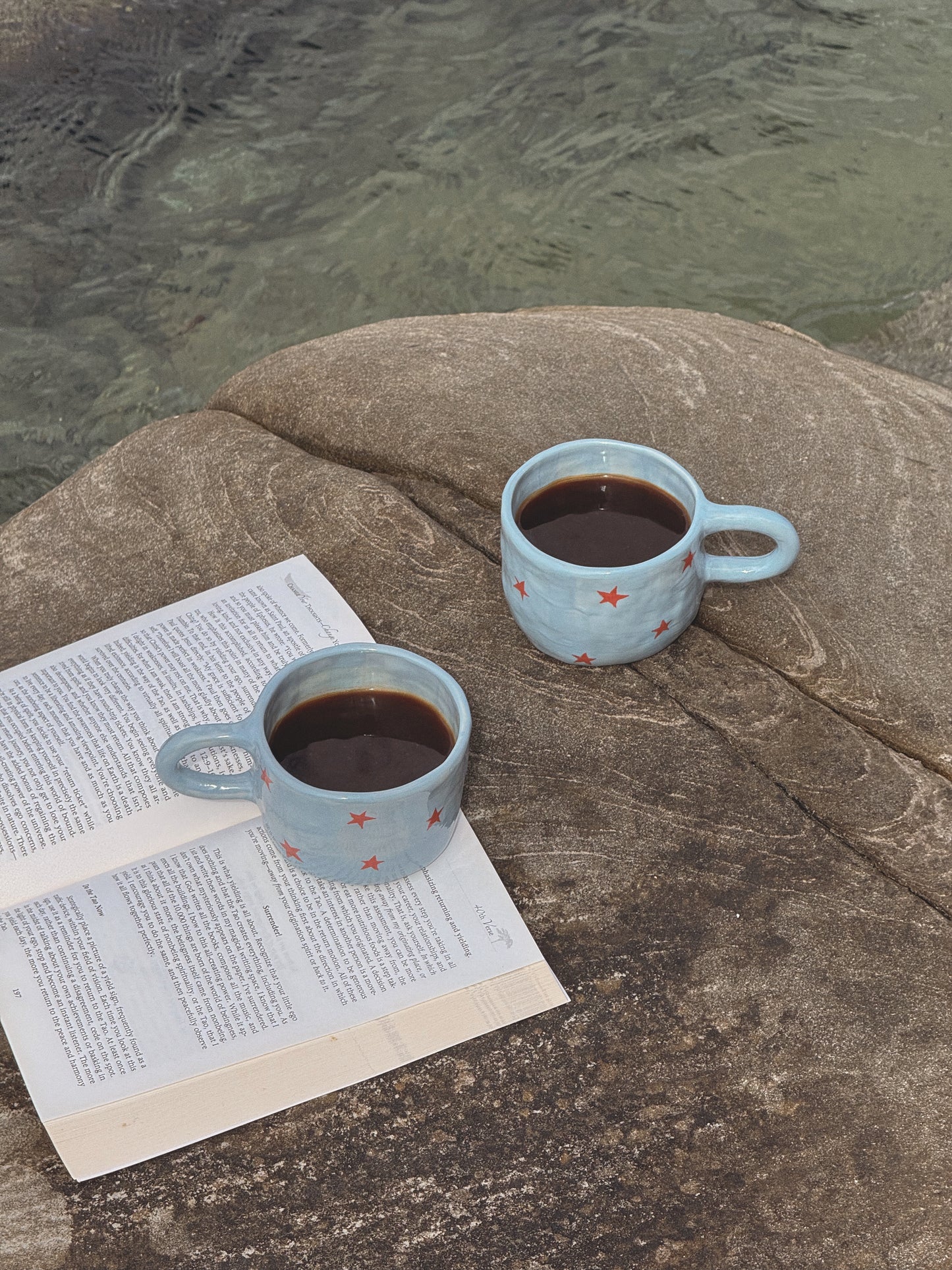 summer star mug